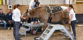 k640 20220505 rtz jubilaeum