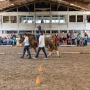 k640 20220505 rtz jubilaeum