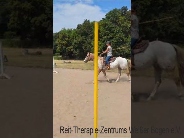 Working Equitation 2023 Working Equitation 2023