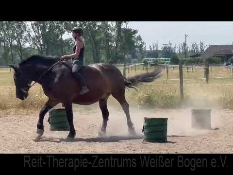 Working Equitation 2023 Working Equitation 2023